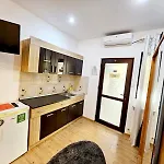 Pensiunea Red Rose 4* Timisoara
