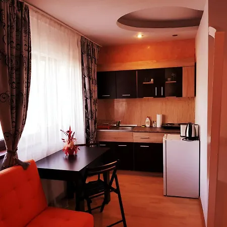 Pensiunea Red Rose Гостьовий будинок Тімішоара