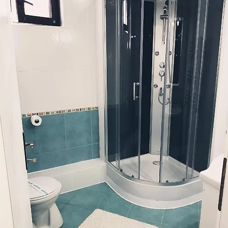 Pensiunea Red Rose 4* Тімішоара