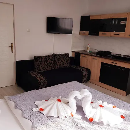 Pensiunea Red Rose 4*