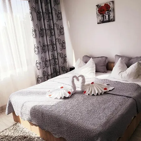 Pensiunea Red Rose Gasthuis Timişoara