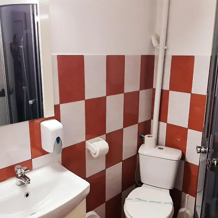 Pensiunea Red Rose Гостьовий будинок Тімішоара