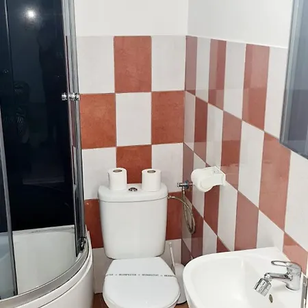 Pensiunea Red Rose Guest house