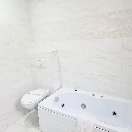 Pensiunea Red Rose Гостьовий будинок Тімішоара