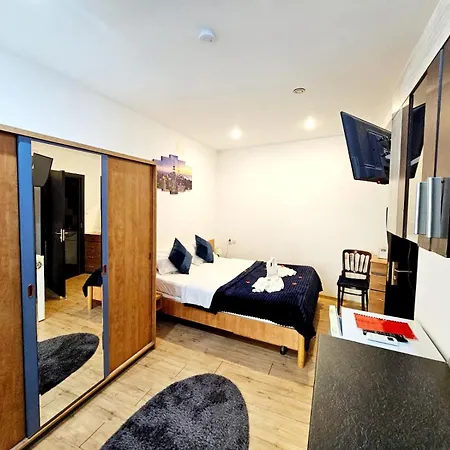 Pensionat Pensiunea Red Rose 4*