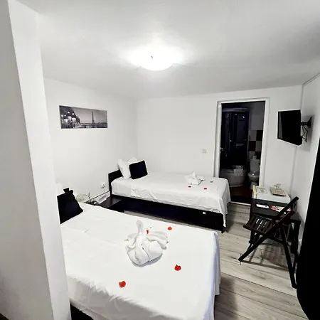 Pensiunea Red Rose Guest house Timisoara