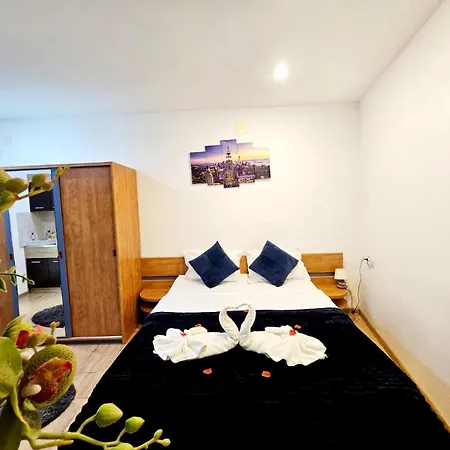 Pensionat Pensiunea Red Rose Timişoara