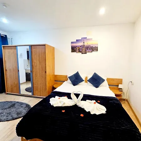 Guest house Pensiunea Red Rose 4*