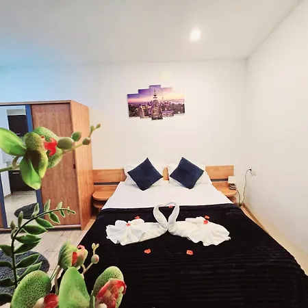 Pensionat Pensiunea Red Rose Timişoara