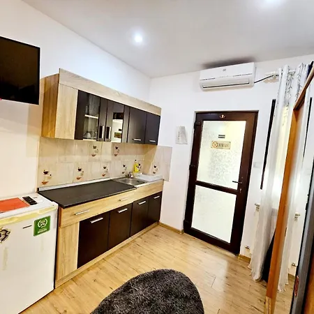 Pensiunea Red Rose 4* Timisoara