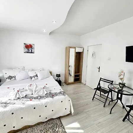 Pensiunea Red Rose Гостьовий будинок Тімішоара