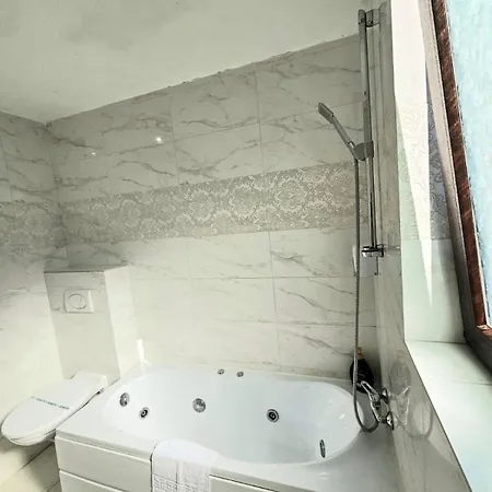 Guest house Rose Timisoara