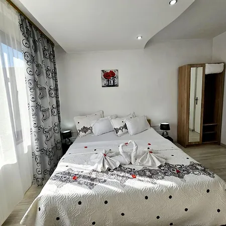 Rose Timisoara