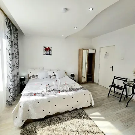 Гостьовий будинок Pensiunea Red Rose Тімішоара