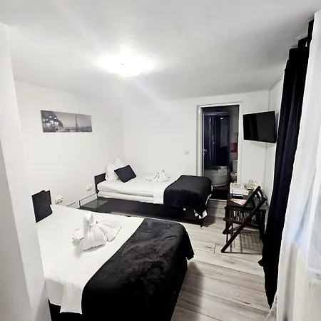 Guest house Pensiunea Red Rose