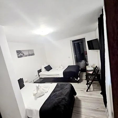 Guest house Pensiunea Red Rose 4*