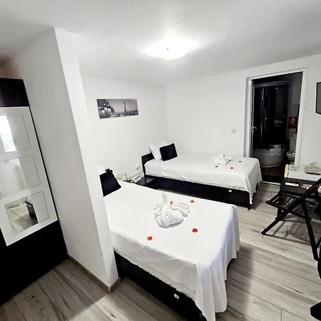 Pensiunea Red Rose Guest house Timisoara