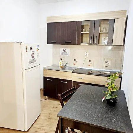 Rose Guest house Timisoara