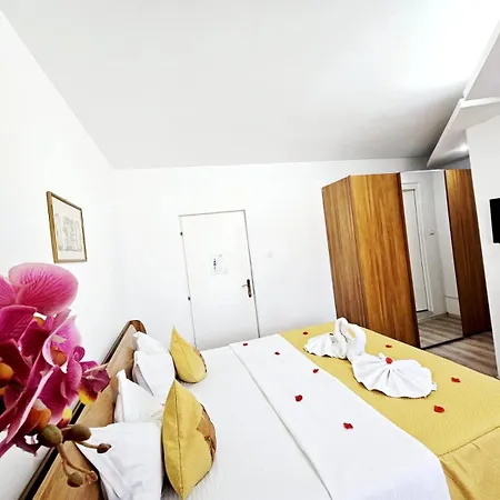 Pensiunea Red Rose 4*
