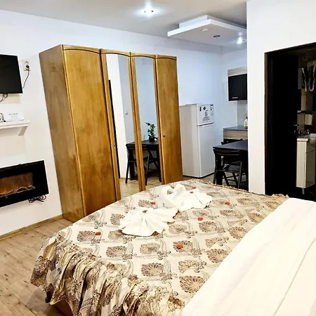 Pensiunea Red Rose Timişoara