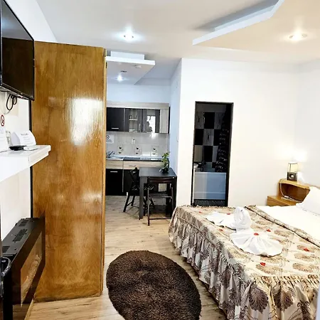 Pensiunea Red Rose Гостьовий будинок 4*