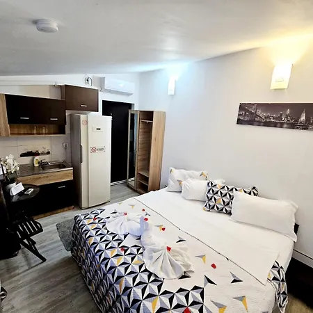 Pensionat Pensiunea Red Rose Timişoara