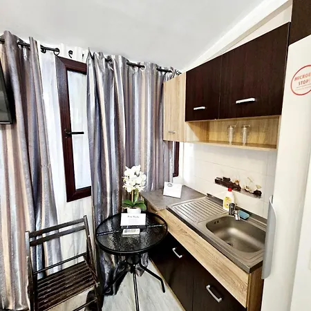 Pensiunea Red Rose 4*