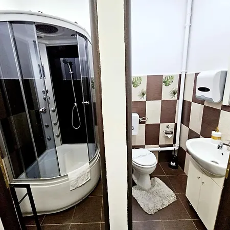 Pensiunea Red Rose 4* Тімішоара