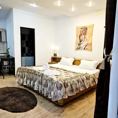 Pensiunea Red Rose Гостьовий будинок