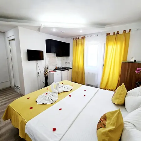 Rose 4* Timisoara