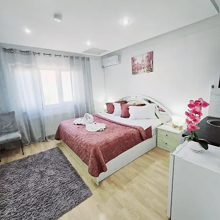 Rose Guest house