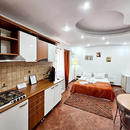 Pensiunea Red Rose 4*