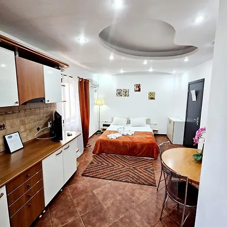 Pensiunea Red Rose 4* Timişoara