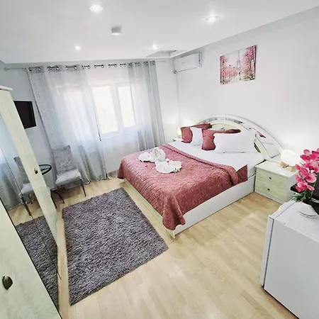 Pensiunea Red Rose Timişoara