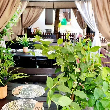 Pensiunea Red Rose Vendégház Temesvár