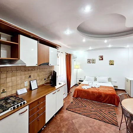 Pensiunea Red Rose 4* Timişoara