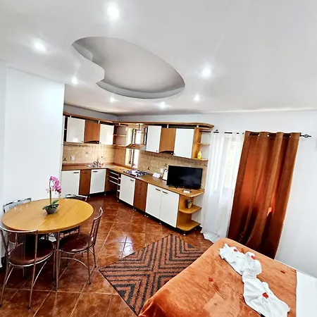 Pensiunea Red Rose 4* Timişoara