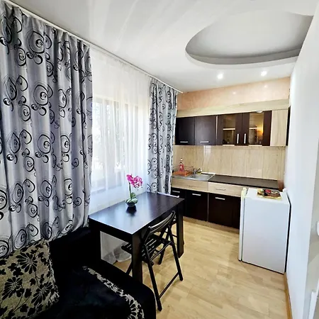 Pensiunea Red Rose 4* Timişoara