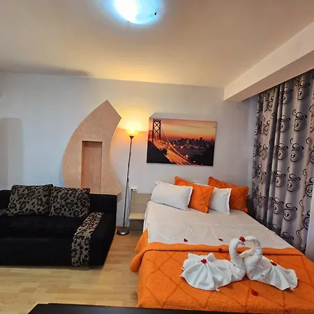 Pensiunea Red Rose 4* Timişoara