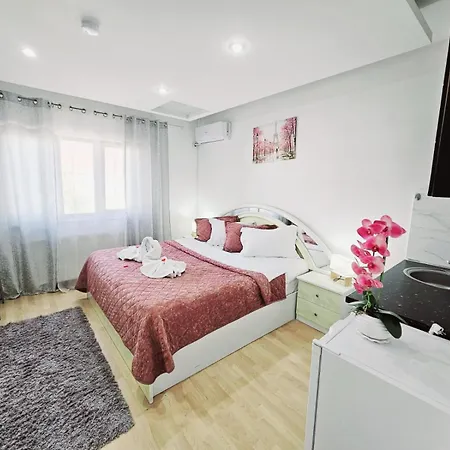 Pensiunea Red Rose Timişoara