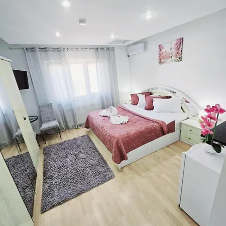 Vendégház Pensiunea Red Rose Temesvár