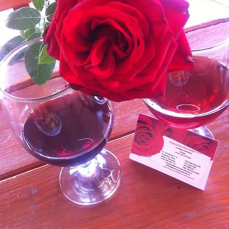 Pensiunea Red Rose 4*