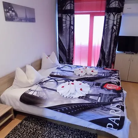 Pensiunea Red Rose Тімішоара