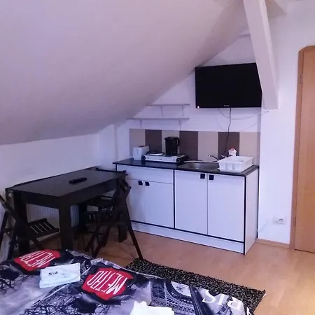 Гостьовий будинок Pensiunea Red Rose 4*