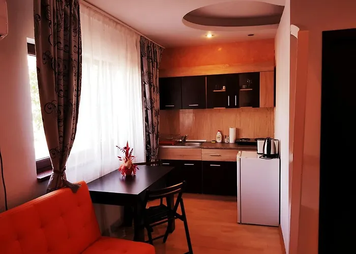 Pensiunea Red Rose Guest house Timisoara