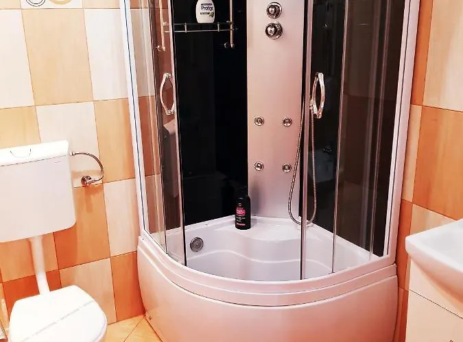 Pensiunea Red Rose 4* Timişoara