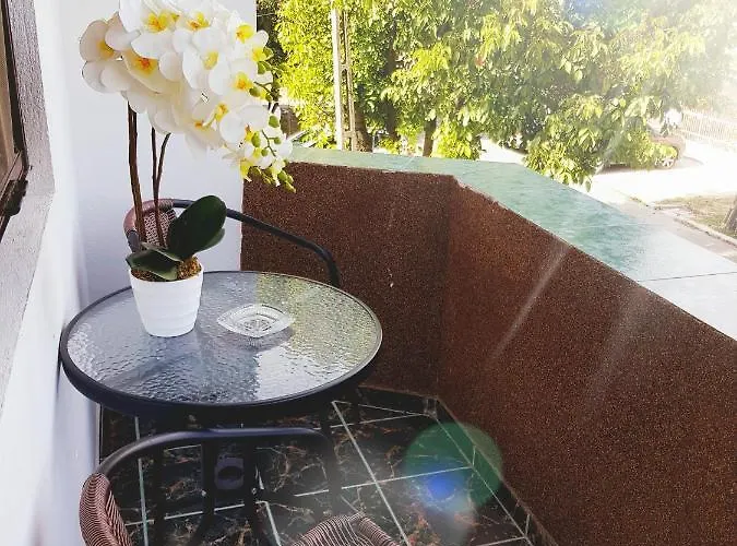 Pensionat Pensiunea Red Rose 4*