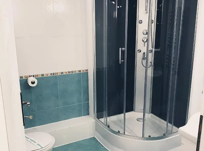 Pensiunea Red Rose 4* Timişoara