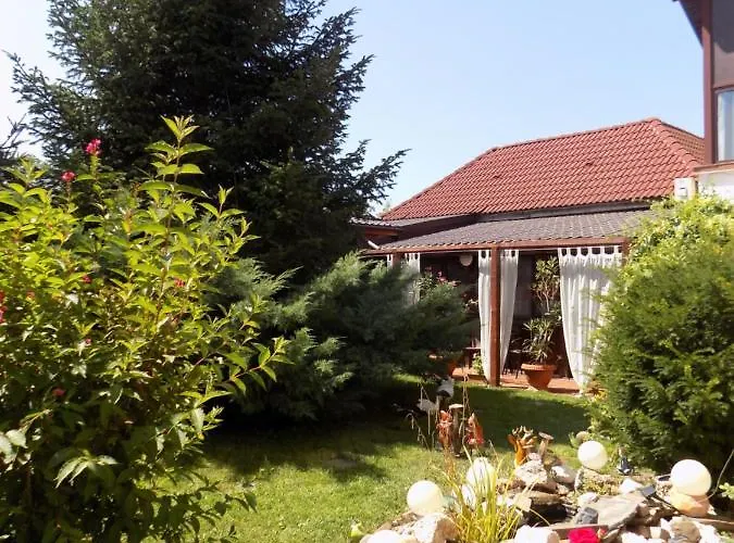 Pensiunea Red Rose Pensionat 4*