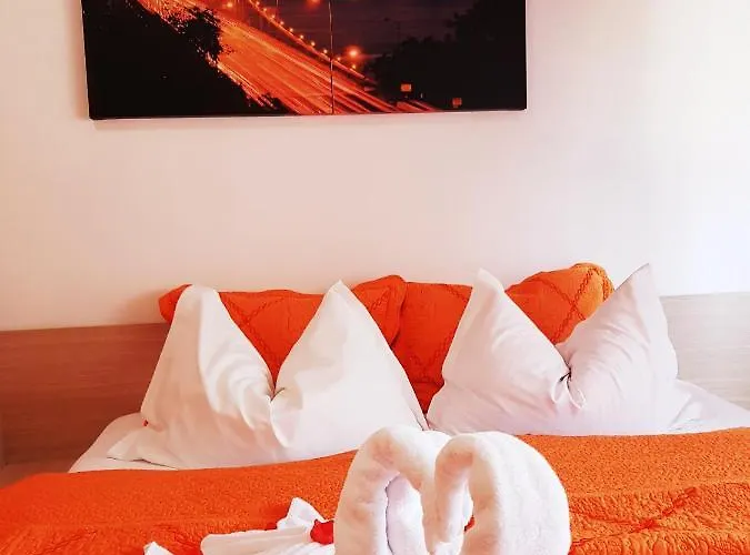 Pensiunea Red Rose Guest house